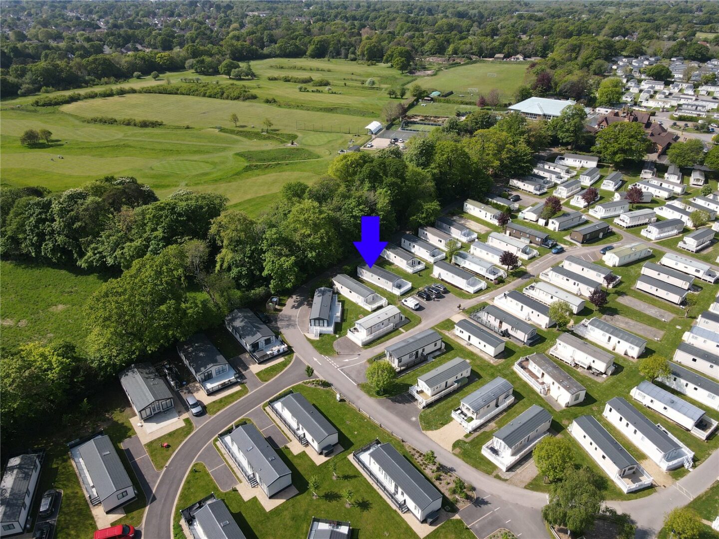 Sycamore, Bashley Caravan Park