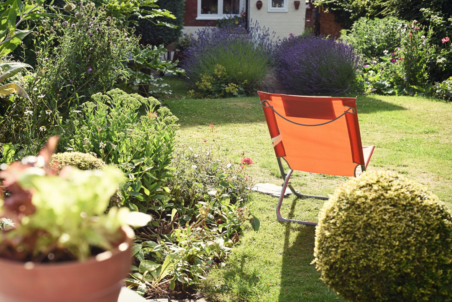 Get your garden ready for summer