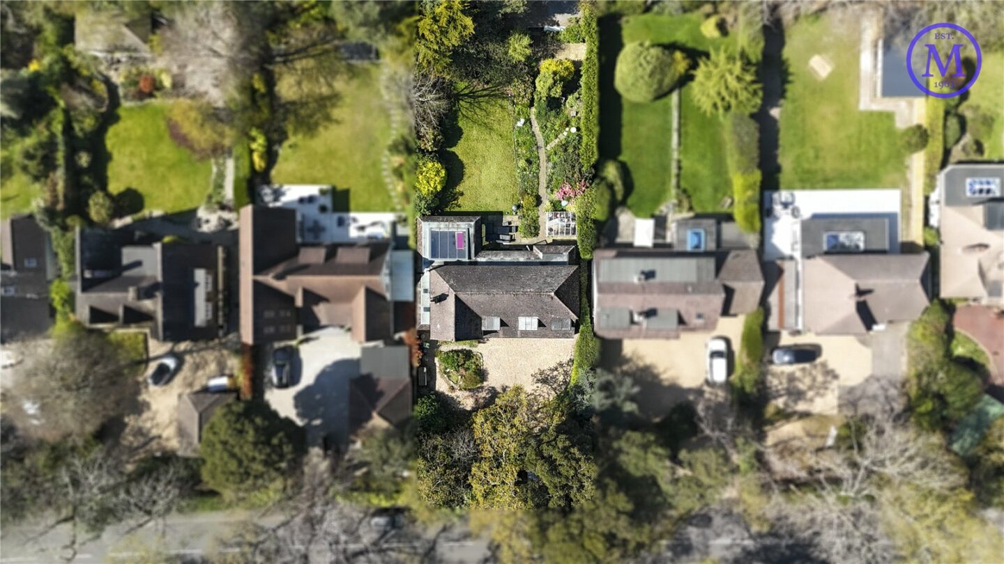 HCE240174_03.jpg