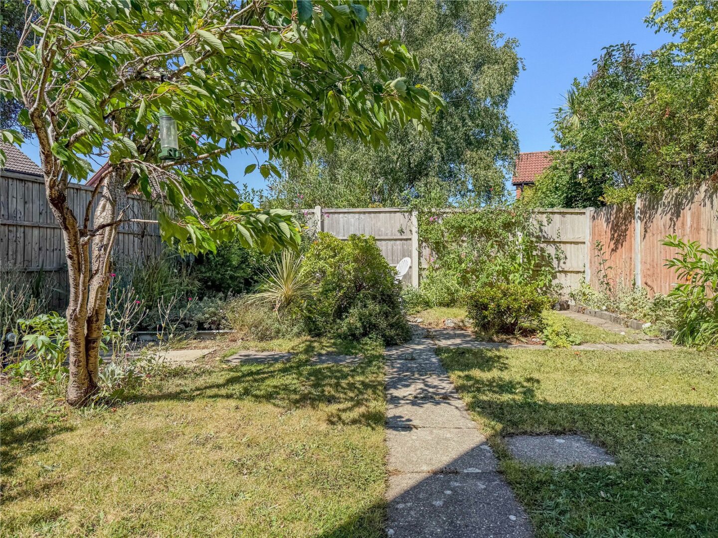 HCE240248_37.jpg
