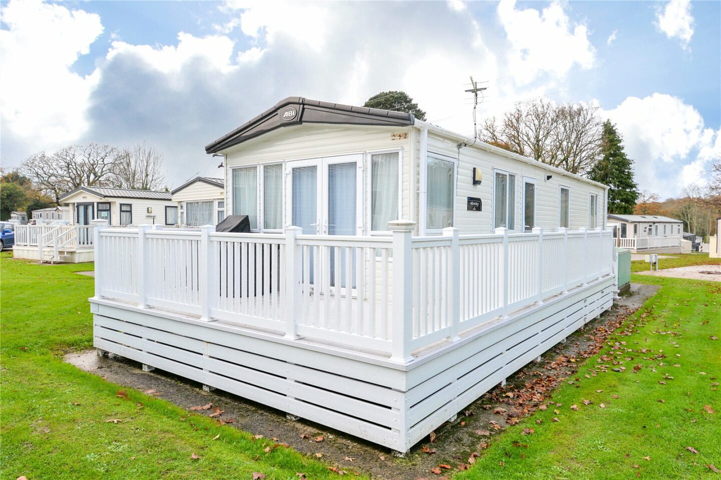 Sycamore, Bashley Caravan Park