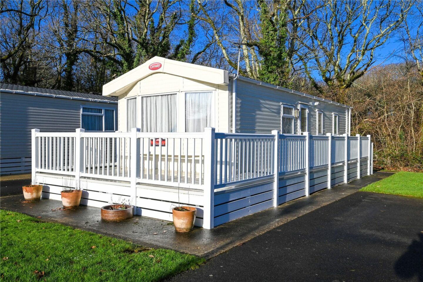 Chestnut, Hoburne Bashley Holiday Park