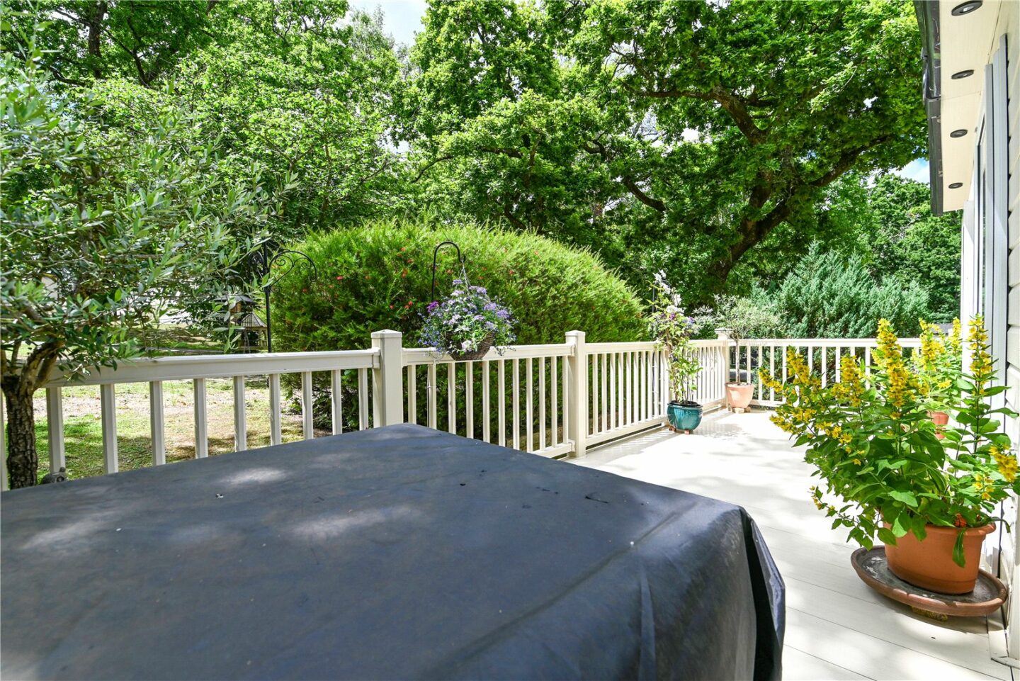NWM250341_09.jpg