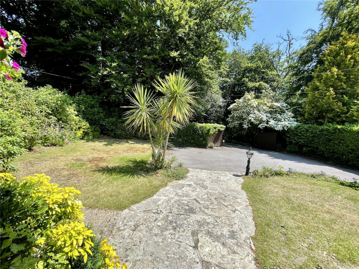 HCE250197_13.jpg