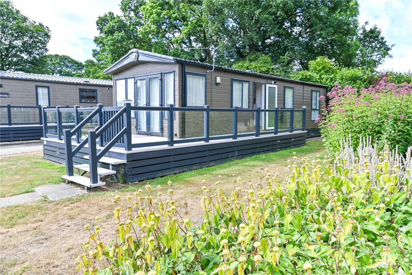 Beech, Hoburne Bashley Holiday Park