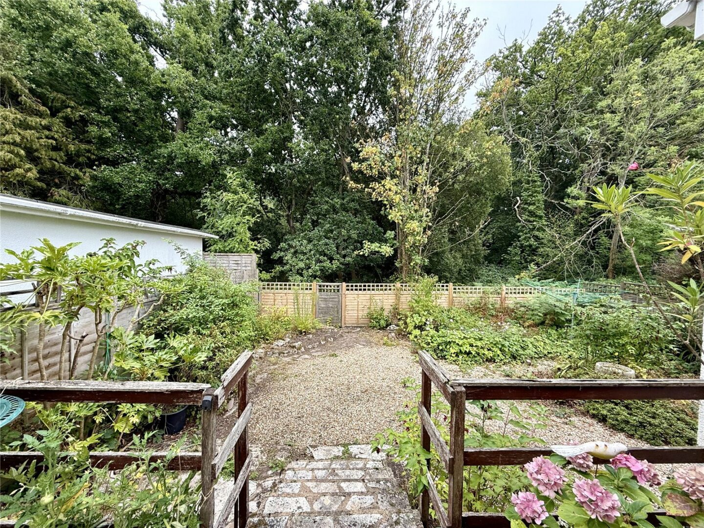 HCE250242_06.jpg