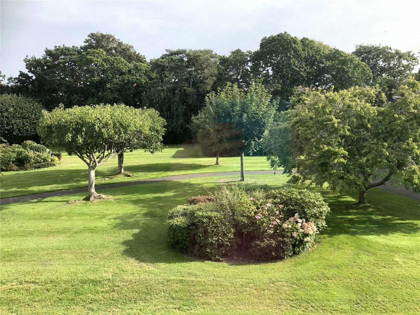HCE250291_03.jpg