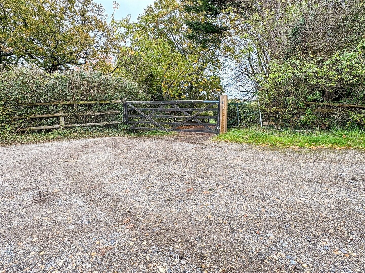 NWM250595_08.jpg