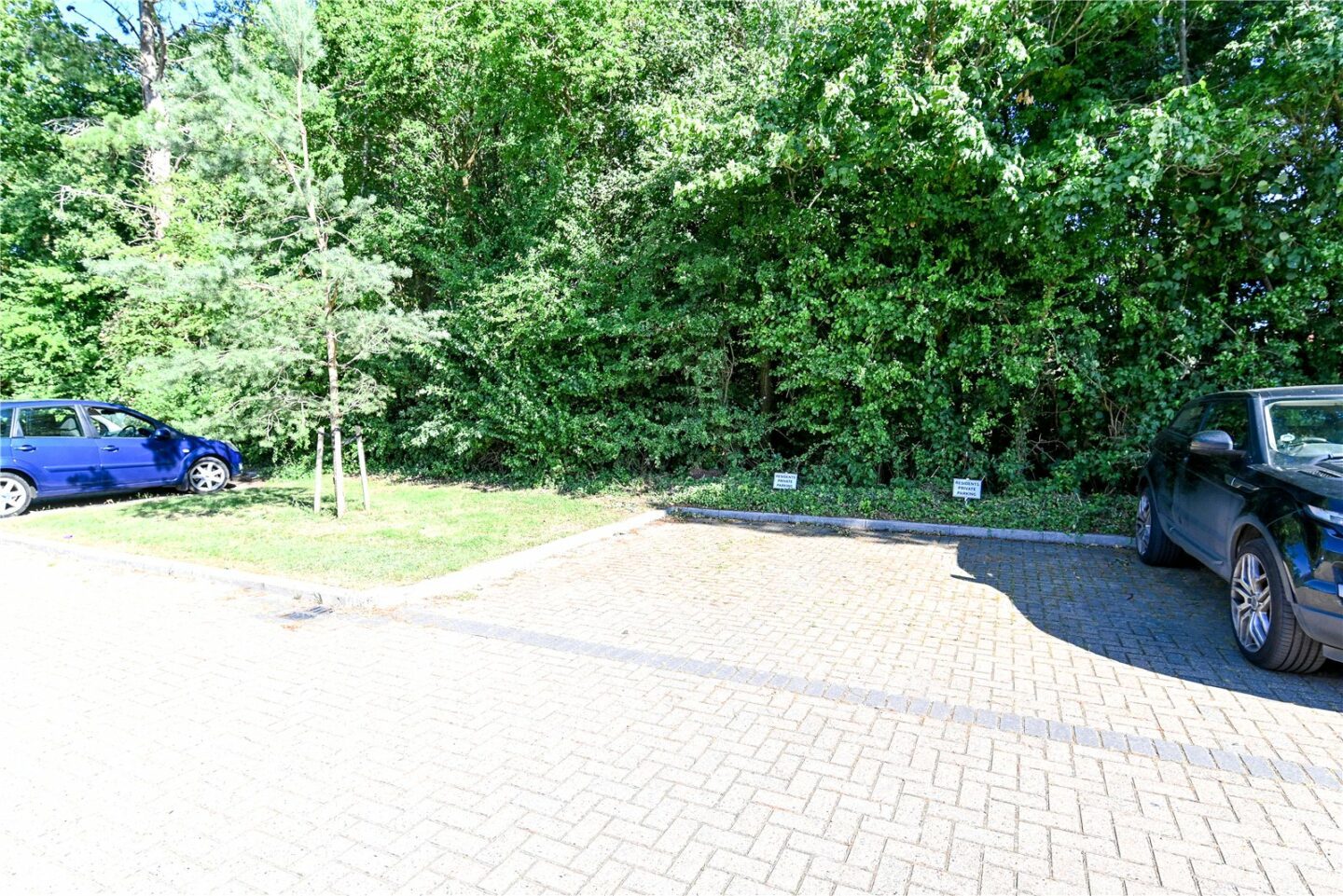 NWM260082_12.jpg