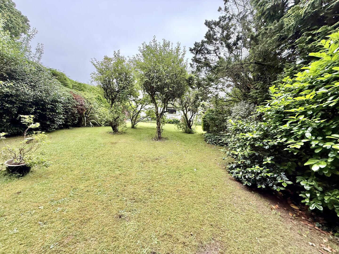 o_dZ0oQFykWBtuQlsZ_w5Q.jpg